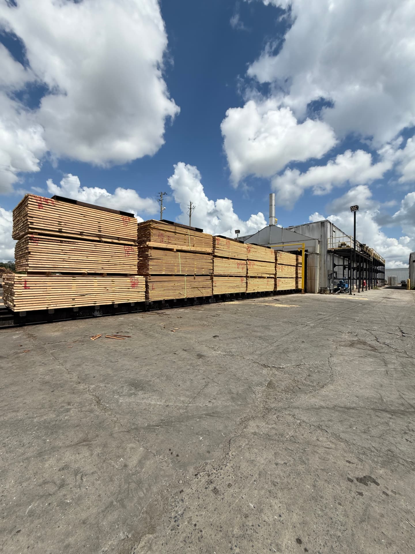 Track kiln yard with stickered lumber carts lined up at a mill