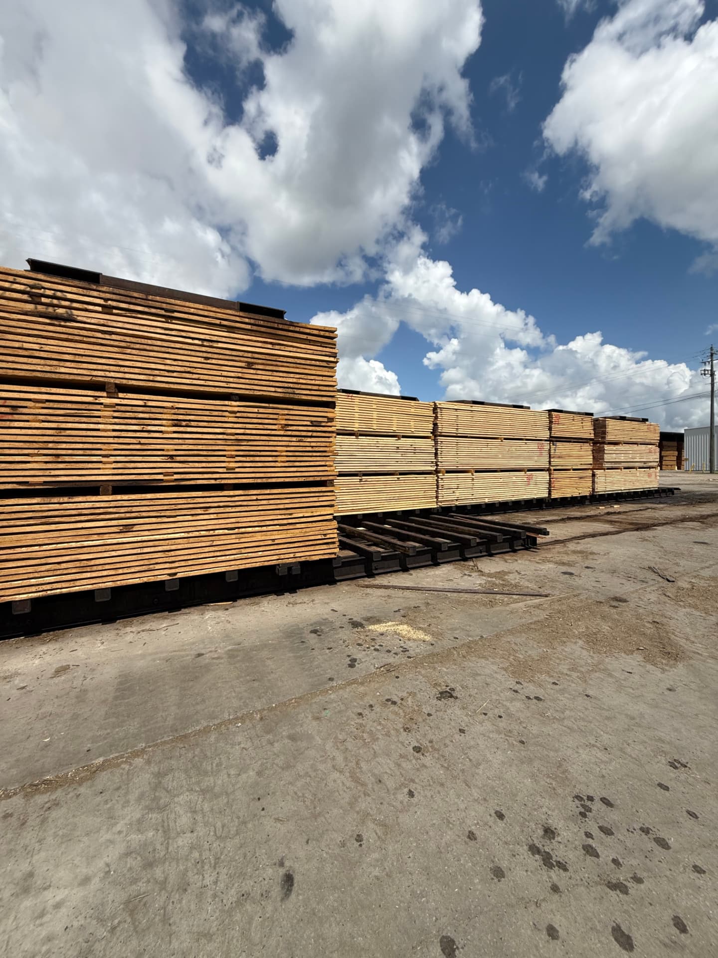 Line of loaded kiln carts on track in a sawmill yard